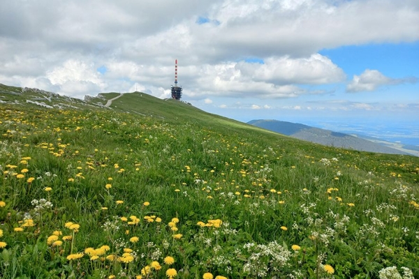 Le Chasseral par la Combe Grède (BE)